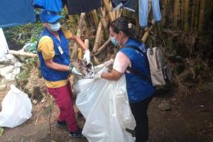 Brigadas contra el dengue
