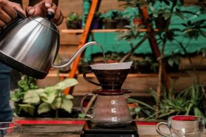 Ibagué Café Festival