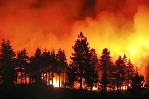 Incendio forestal