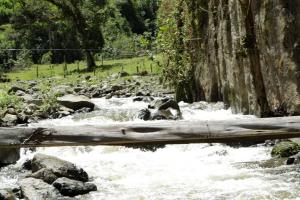 Río Combeima
