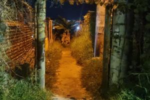 A bala asesinaron a Mauricio Torres en la invasión Porvenir en Ibagué