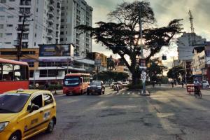 Atención: Van 37 comparendos en el 2º día sin carro y sin moto en Ibagué