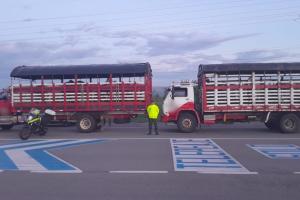 Recuperaron en Guamo 28 bovinos que se habían hurtado en Vistahermosa – Meta