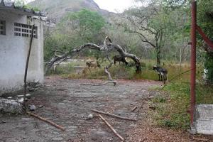 Continúa la investigación sobre el doble homicidio en el estadio de Honda