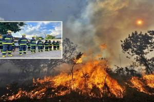 Incendios forestales