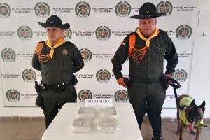 Gracias al olfato de la canina antinarcóticos ‘Mabel’, se logró el hallazgo de alucinógenos en la terminal de Honda