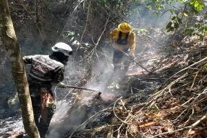 Ejército Nacional controló incendio forestal en Suárez – Tolima
