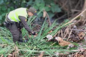 Policía auxilió a ‘Lucas’ un perrito abandonado y lesionado en el sector de Picaleña