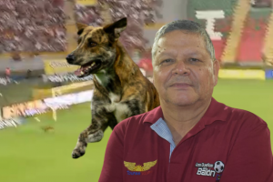 Élmer Pérez