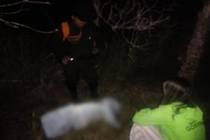 Hallaron un perro muerto y en estado de descomposición en la variante del Aeropuerto Perales
