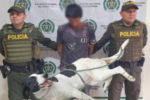 Desalmado fue capturado luego de agredir salvajemente a ‘Pinina’, una perrita criolla en Cajamarca
