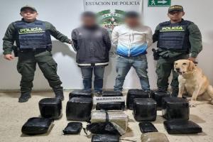 Iván, otro canino de la Policía Tolima, detectó 64 kilogramos de marihuana en la vía a Roncesvalles