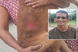 Sujeto apuñaló a una perrita frente al Polideportivo de Picaleña en Ibagué