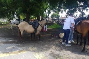 Cabalgata en El Espinal 