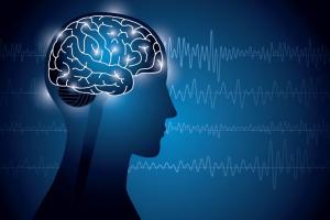 Día del cerebro