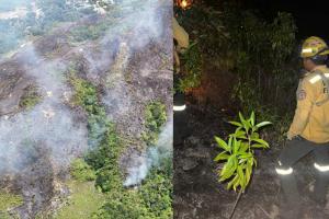 Monitorean área en la que se presentó incendio forestal entre Melgar, Cunday y Carmen de Apicalá.