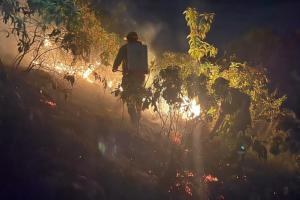 Incendio forestal en límites de los municipios de Melgar y Cunday.