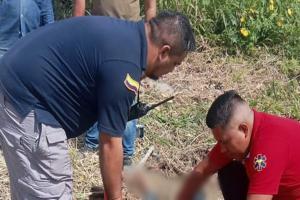 Hombre murió arrollado por un tractor cuando realizaba labores de corte de arroz en el Guamo