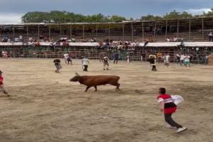Plaza de toros en el Guamo