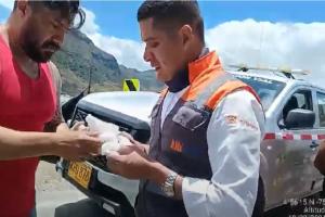 agresión a empleado alternativas viales