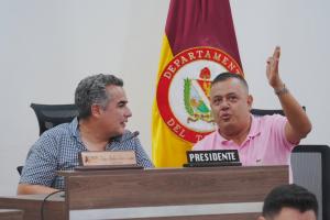 Diputados del Tolima