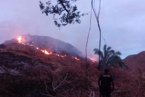 Incendios en el Tolima