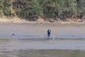 ¡Macabro hallazgo! Encuentran jovencita desmembrada en el río Magdalena