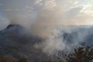 Más de 23.000 hectáreas afectadas por incendios en el Huila.
