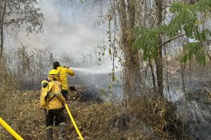 Incedio forestal Ortega | Altas temperaturas Ortega | Alerta roja Ortega | Septiembre 2024