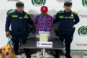 Perla detectó 500 gramos de marihuana que llevaba un pasajero en la Terminal de Ibagué