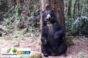 El Huila estará presente en el evento de biodiversidad más importante en el mundo, la COP16.