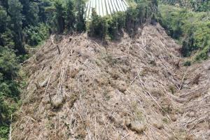 Deforestación en el Parque Nacional Natural Cueva de los Guacharos 