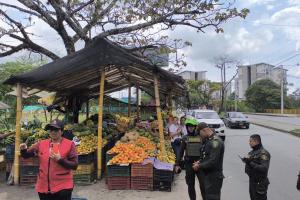 Puesto de frutas el progal