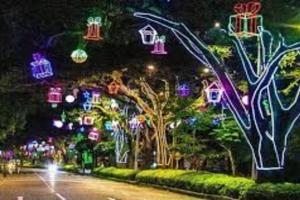 Alumbrado navideño Ibagué