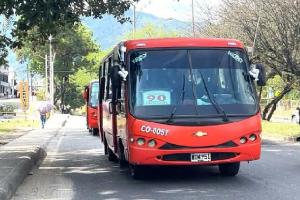 Buseta 2025