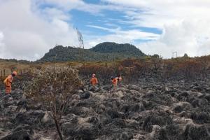 Incendio forestal Murillo | Reserva natural El Toro en Murillo | Estribaciones Volcán Nevado del Ruiz | Enero 2025