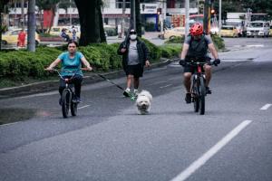 Día sin carro y sin moto en Ibagué