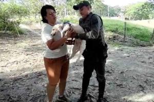 rescate de mascota