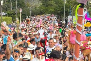 caballitos de palo 2025