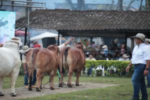 Feria Agropecuaria e Industrial Ibagué