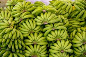 banano