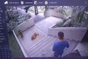 Caso de Maltrato Animal | Hombre Golpeo Animal | Maltrato Animal | Julio 2025