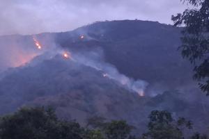 Alerta roja en el Tolima por incendios