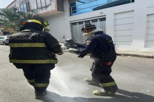 Bomberos barrio La Francia