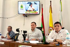 Concejo de Neiva