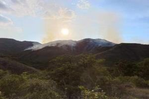 Sequía golpea a Ortega y pone en jaque al café y la ganadería