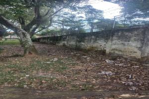 Sin canchas en colegios de Ibagué 