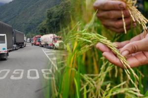 Productores e industriales logran acuerdo histórico en el precio del arroz