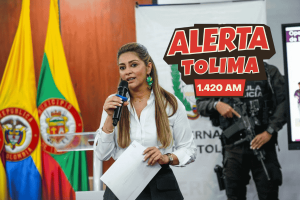 Autoridades desmantelan el Frente 57 en el sur del Tolima