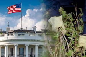 Gobernadora del Tolima advierte impactos de descertificación en inversión y exportaciones